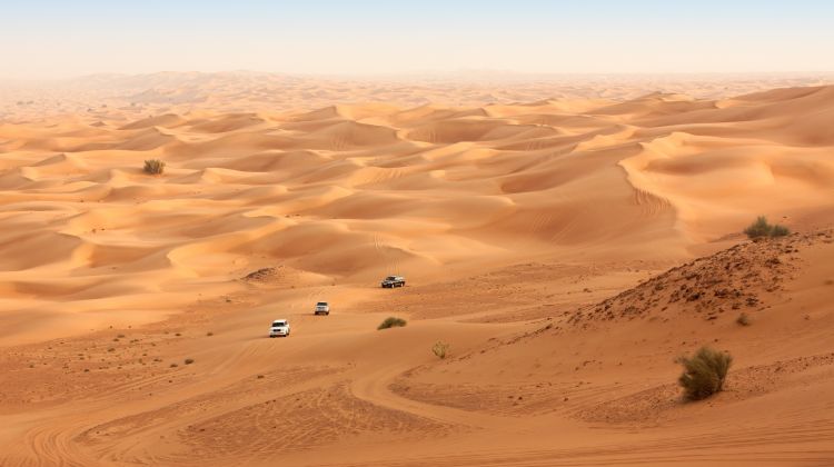 Desert Safari in Morning