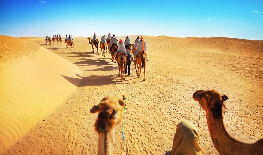 Camel Ride in Desert Safari