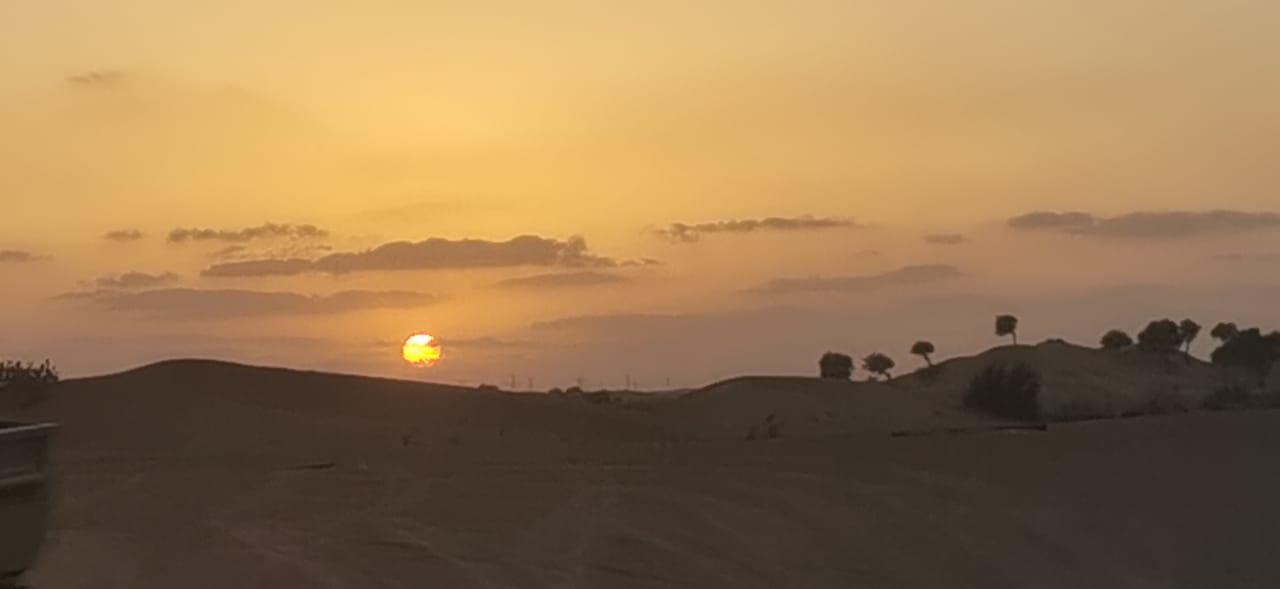 Morning Desert Safari