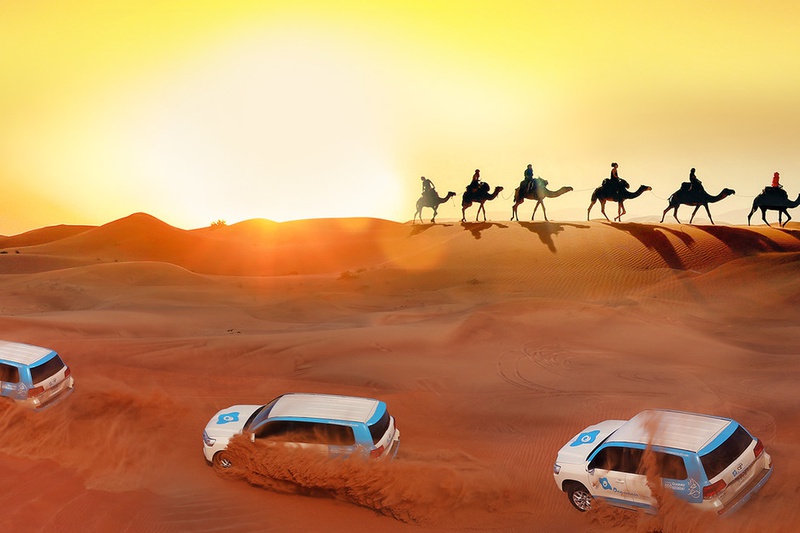 Desert Safari in Evening
